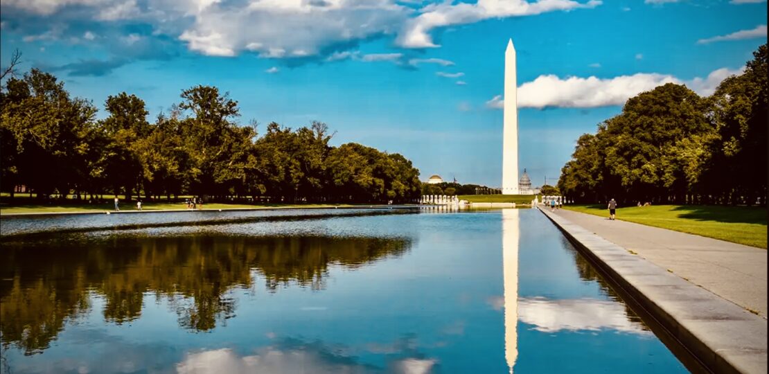 Self-Reflection Pool